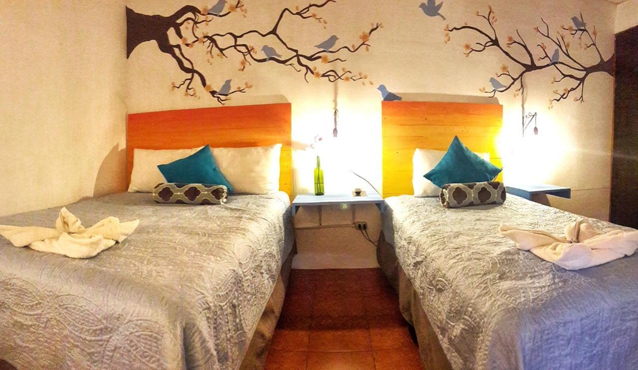 Hotel Y Arte Norte Antigua ภายนอก รูปภาพ